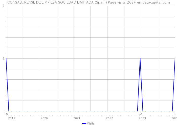 CONSABURENSE DE LIMPIEZA SOCIEDAD LIMITADA (Spain) Page visits 2024 