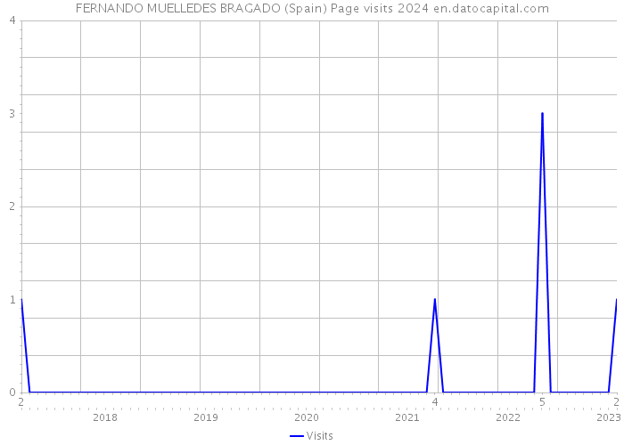 FERNANDO MUELLEDES BRAGADO (Spain) Page visits 2024 