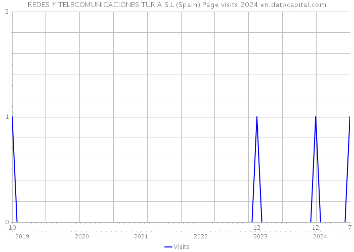 REDES Y TELECOMUNICACIONES TURIA S.L (Spain) Page visits 2024 