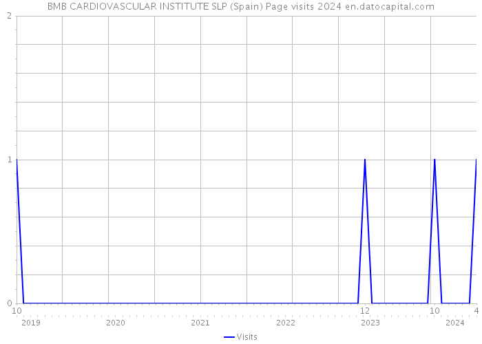 BMB CARDIOVASCULAR INSTITUTE SLP (Spain) Page visits 2024 