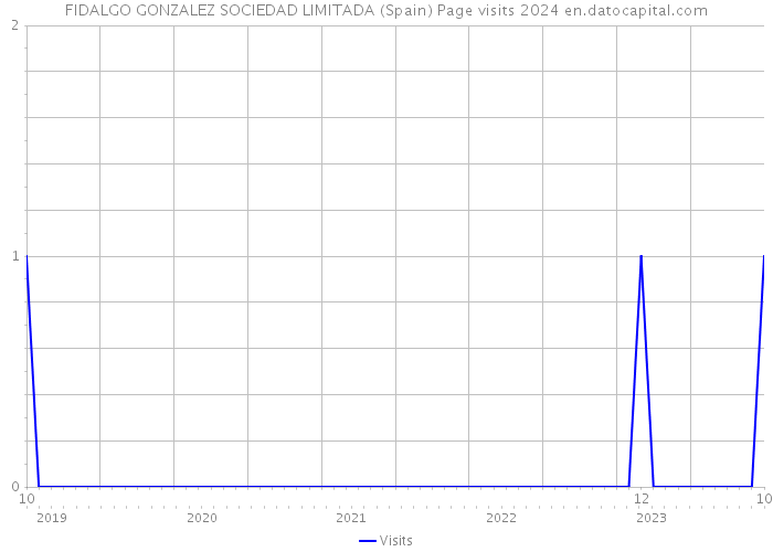 FIDALGO GONZALEZ SOCIEDAD LIMITADA (Spain) Page visits 2024 