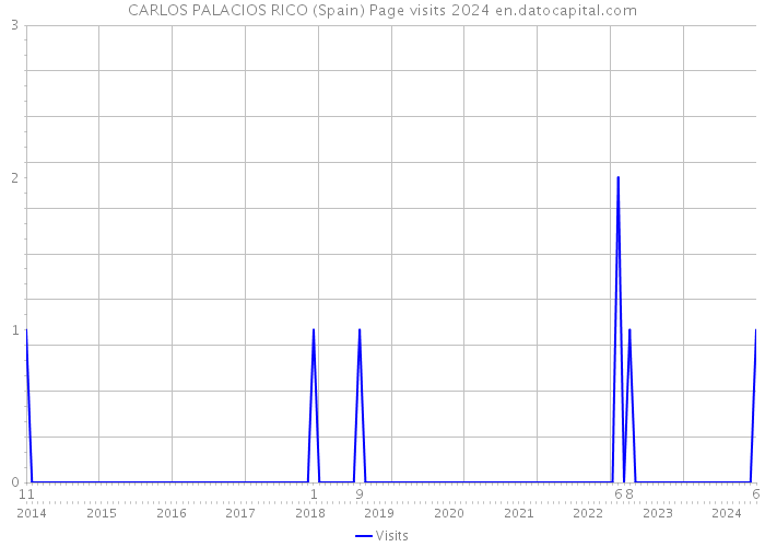 CARLOS PALACIOS RICO (Spain) Page visits 2024 