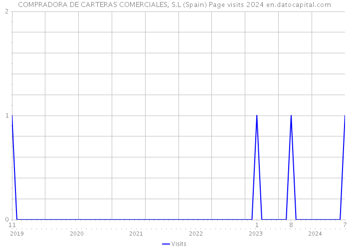 COMPRADORA DE CARTERAS COMERCIALES, S.L (Spain) Page visits 2024 