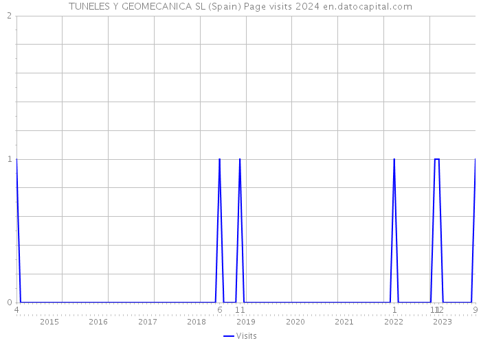 TUNELES Y GEOMECANICA SL (Spain) Page visits 2024 