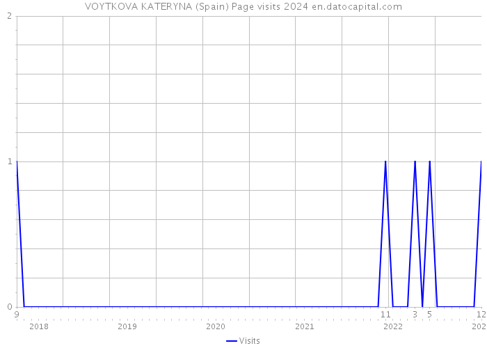 VOYTKOVA KATERYNA (Spain) Page visits 2024 