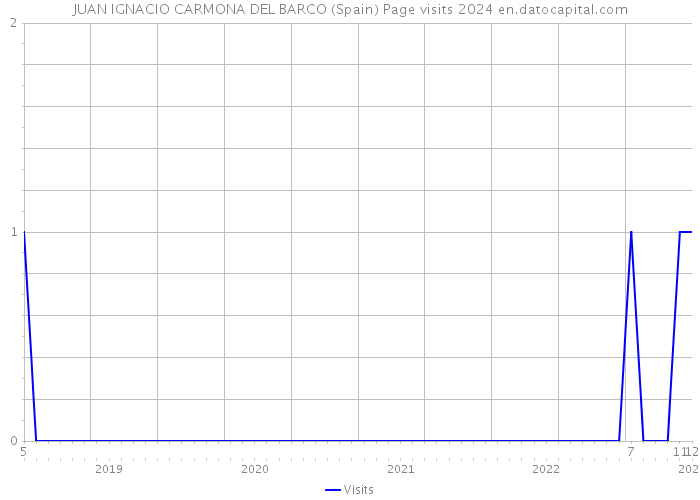 JUAN IGNACIO CARMONA DEL BARCO (Spain) Page visits 2024 
