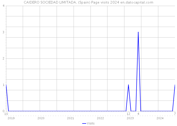 CAIDERO SOCIEDAD LIMITADA. (Spain) Page visits 2024 