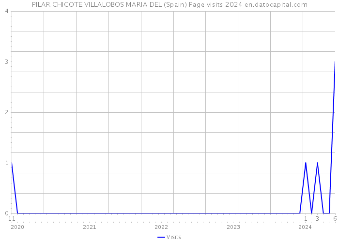 PILAR CHICOTE VILLALOBOS MARIA DEL (Spain) Page visits 2024 