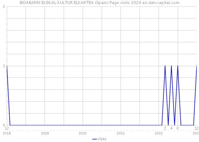 BIDABARRI EUSKAL KULTUR ELKARTEA (Spain) Page visits 2024 