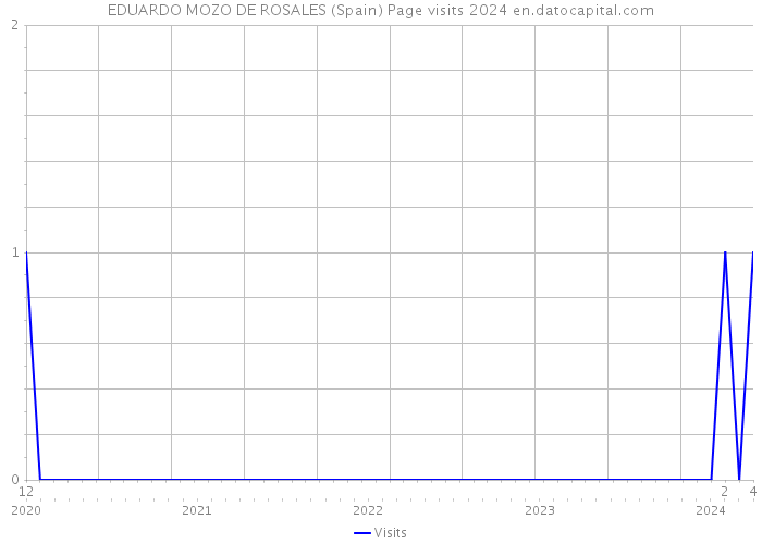 EDUARDO MOZO DE ROSALES (Spain) Page visits 2024 