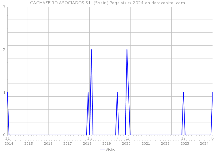 CACHAFEIRO ASOCIADOS S.L. (Spain) Page visits 2024 