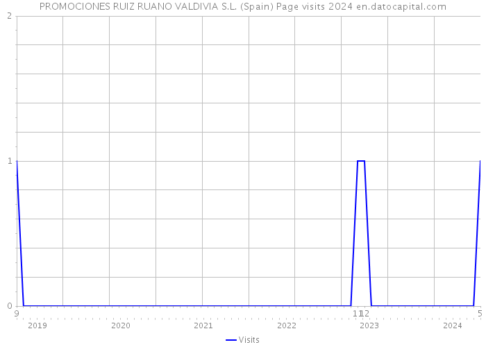 PROMOCIONES RUIZ RUANO VALDIVIA S.L. (Spain) Page visits 2024 