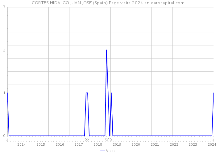CORTES HIDALGO JUAN JOSE (Spain) Page visits 2024 