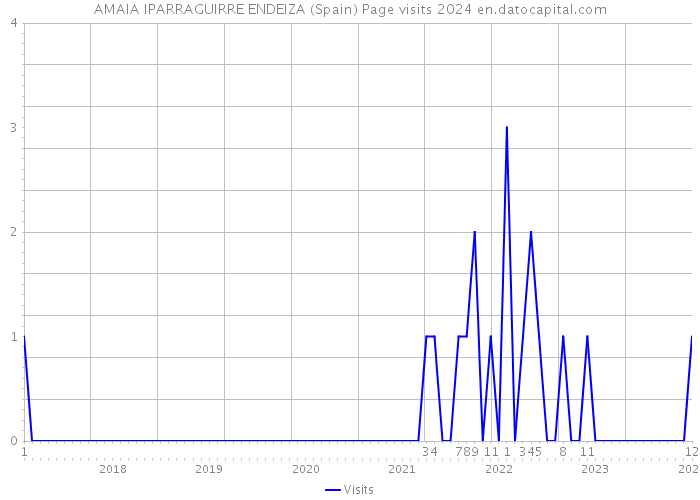 AMAIA IPARRAGUIRRE ENDEIZA (Spain) Page visits 2024 