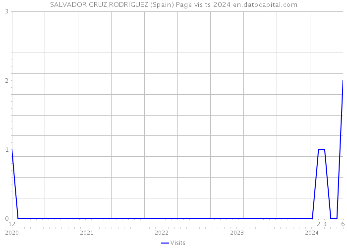 SALVADOR CRUZ RODRIGUEZ (Spain) Page visits 2024 