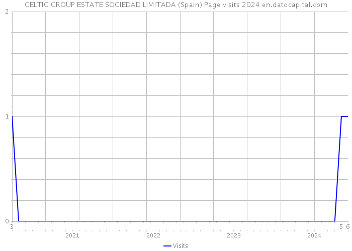 CELTIC GROUP ESTATE SOCIEDAD LIMITADA (Spain) Page visits 2024 