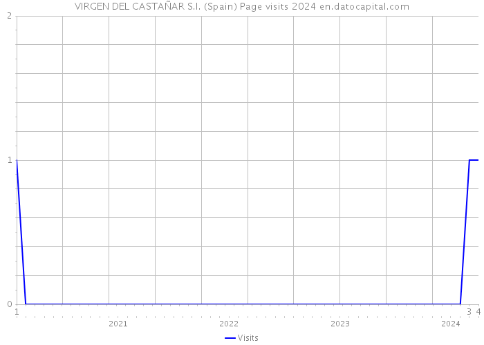 VIRGEN DEL CASTAÑAR S.I. (Spain) Page visits 2024 