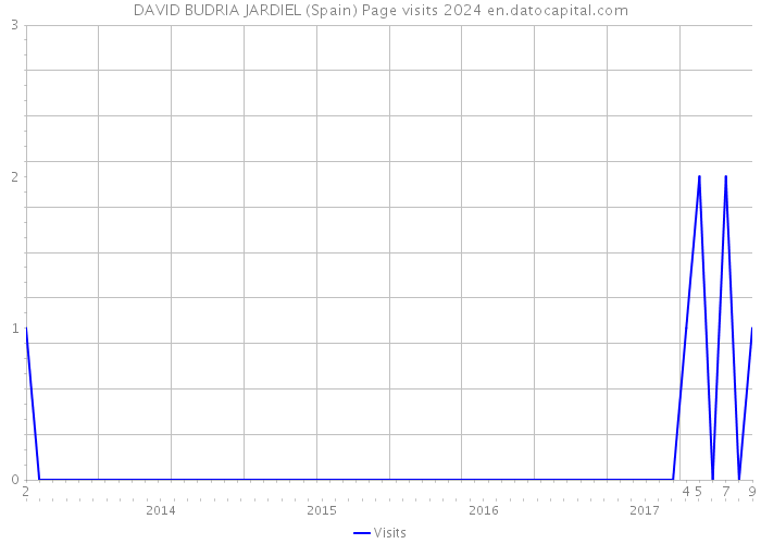 DAVID BUDRIA JARDIEL (Spain) Page visits 2024 