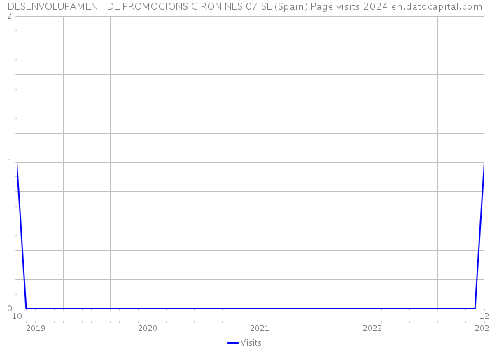 DESENVOLUPAMENT DE PROMOCIONS GIRONINES 07 SL (Spain) Page visits 2024 