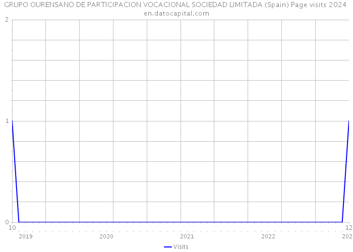 GRUPO OURENSANO DE PARTICIPACION VOCACIONAL SOCIEDAD LIMITADA (Spain) Page visits 2024 