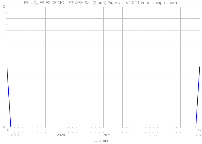 PELUQUERIES DE MOLLERUSSA S.L. (Spain) Page visits 2024 