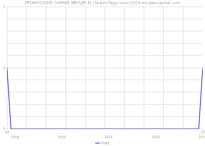 PROMOCIONS CARRER WEYLER SL (Spain) Page visits 2024 