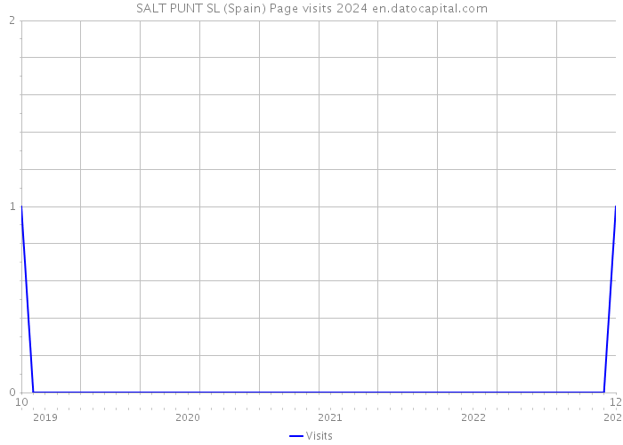 SALT PUNT SL (Spain) Page visits 2024 