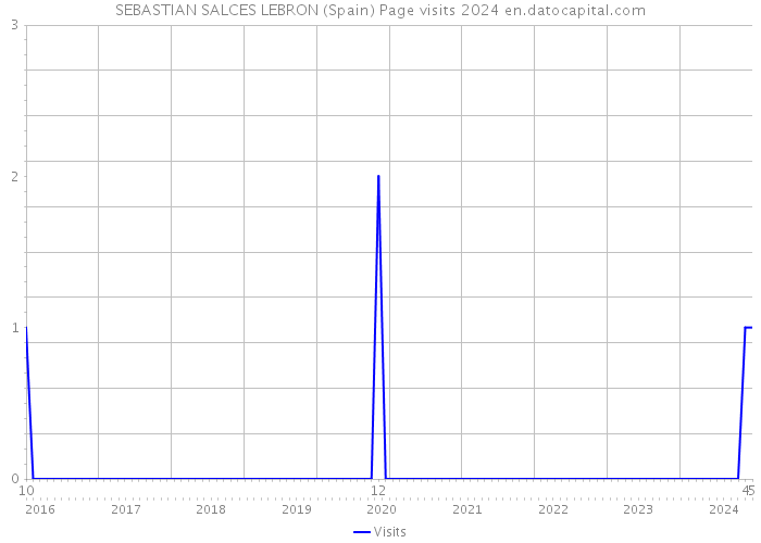 SEBASTIAN SALCES LEBRON (Spain) Page visits 2024 