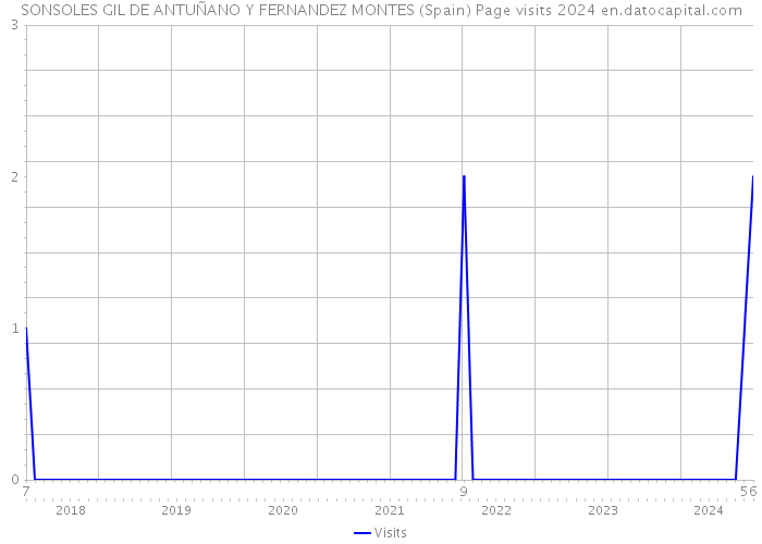 SONSOLES GIL DE ANTUÑANO Y FERNANDEZ MONTES (Spain) Page visits 2024 