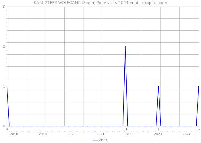 KARL STEER WOLFGANG (Spain) Page visits 2024 