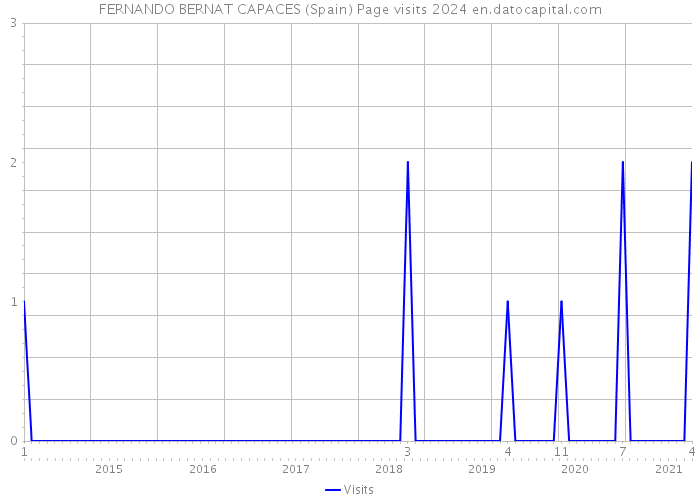 FERNANDO BERNAT CAPACES (Spain) Page visits 2024 