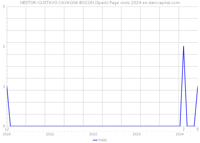 NESTOR-GUSTAVO CAVAGNA BOCON (Spain) Page visits 2024 
