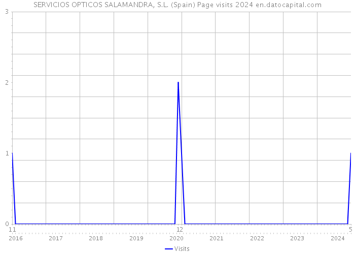 SERVICIOS OPTICOS SALAMANDRA, S.L. (Spain) Page visits 2024 