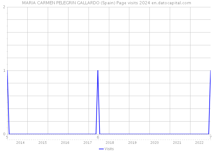 MARIA CARMEN PELEGRIN GALLARDO (Spain) Page visits 2024 