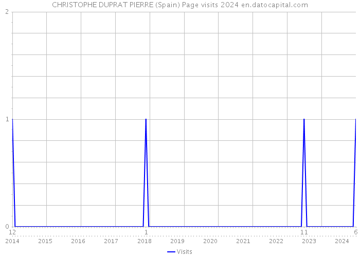 CHRISTOPHE DUPRAT PIERRE (Spain) Page visits 2024 