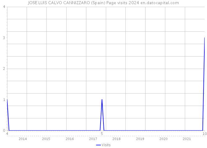 JOSE LUIS CALVO CANNIZZARO (Spain) Page visits 2024 