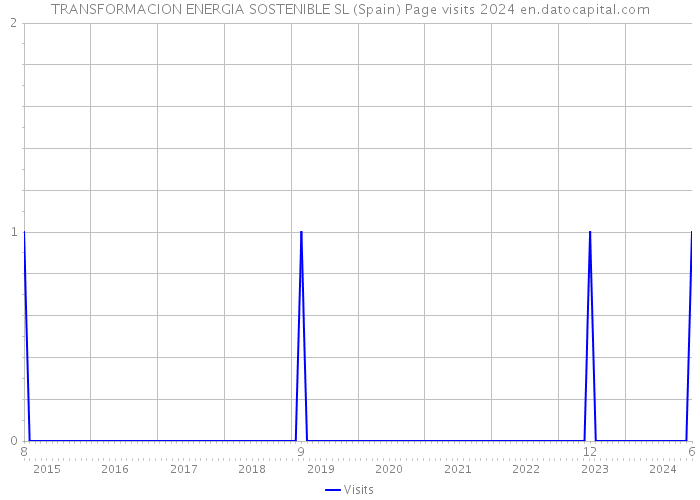 TRANSFORMACION ENERGIA SOSTENIBLE SL (Spain) Page visits 2024 