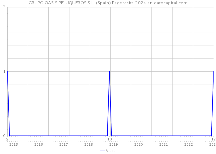 GRUPO OASIS PELUQUEROS S.L. (Spain) Page visits 2024 