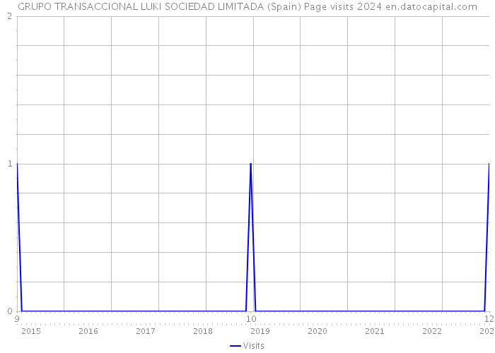 GRUPO TRANSACCIONAL LUKI SOCIEDAD LIMITADA (Spain) Page visits 2024 
