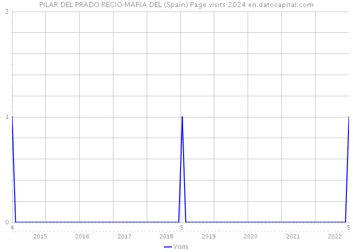 PILAR DEL PRADO RECIO MARIA DEL (Spain) Page visits 2024 