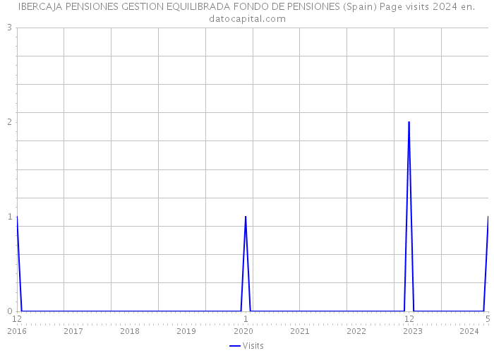 IBERCAJA PENSIONES GESTION EQUILIBRADA FONDO DE PENSIONES (Spain) Page visits 2024 