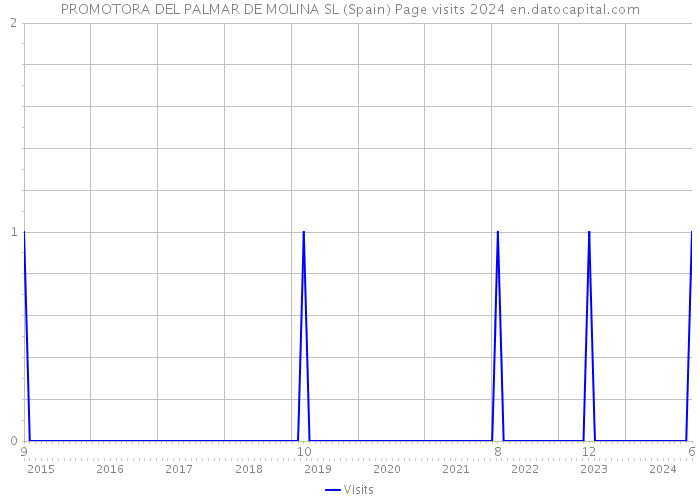 PROMOTORA DEL PALMAR DE MOLINA SL (Spain) Page visits 2024 