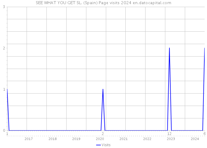 SEE WHAT YOU GET SL. (Spain) Page visits 2024 