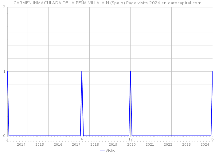 CARMEN INMACULADA DE LA PEÑA VILLALAIN (Spain) Page visits 2024 