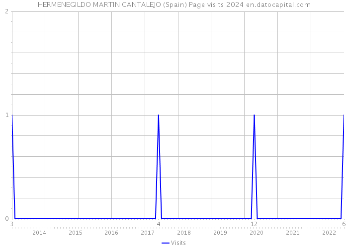 HERMENEGILDO MARTIN CANTALEJO (Spain) Page visits 2024 
