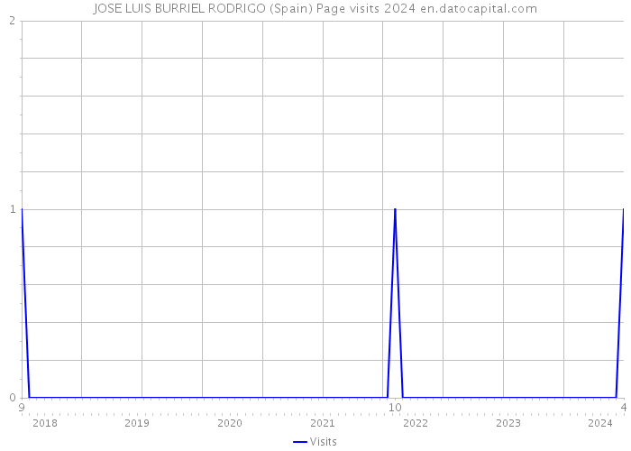 JOSE LUIS BURRIEL RODRIGO (Spain) Page visits 2024 