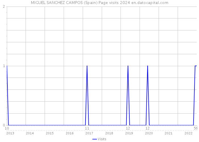 MIGUEL SANCHEZ CAMPOS (Spain) Page visits 2024 