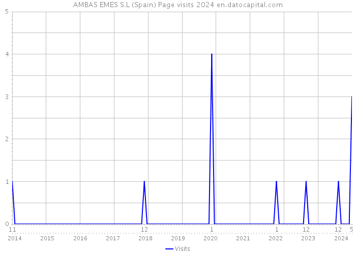 AMBAS EMES S.L (Spain) Page visits 2024 