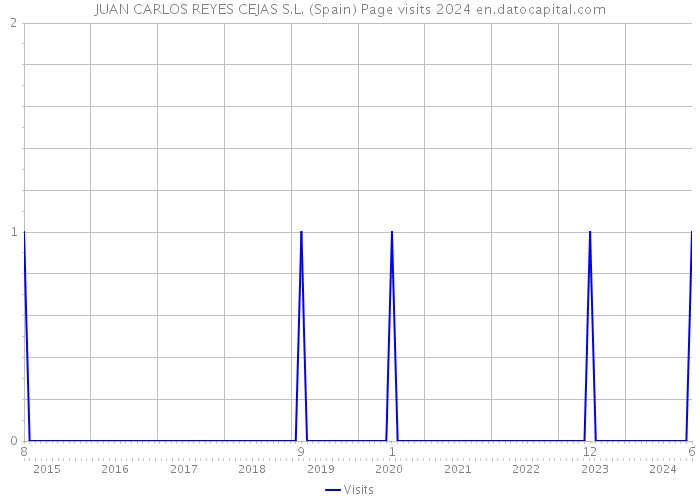 JUAN CARLOS REYES CEJAS S.L. (Spain) Page visits 2024 