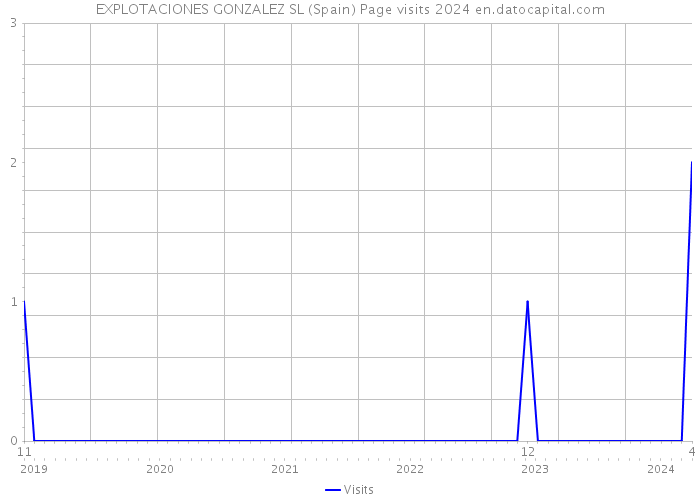 EXPLOTACIONES GONZALEZ SL (Spain) Page visits 2024 